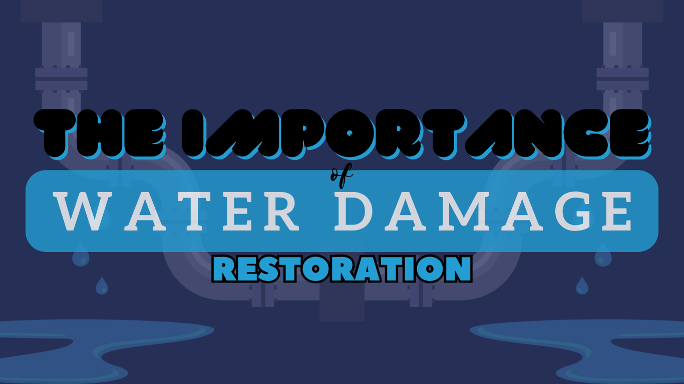 What Happens During Water Damage Extraction, Evaporation, and Dehumidification?